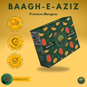 Why Baagh-e-Aziz Mangoes Are Better Than Market Mangoes