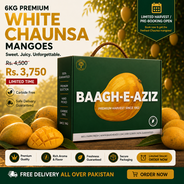 Buy White Chaunsa Mangoes Online Pakistan | Premium Rare Mango | Baagh-e-Aziz