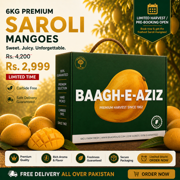 Buy Saroli Mangoes Online | Early Season Pakistani Mango | Baagh-e-Aziz