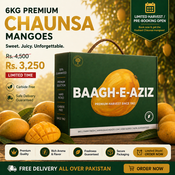 Buy Chaunsa Mangoes Online Pakistan | King of Mangoes | Baagh-e-Aziz