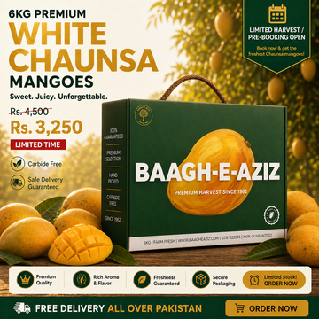 Buy White Chaunsa Mangoes Online Pakistan | Premium Rare Mango | Baagh-e-Aziz