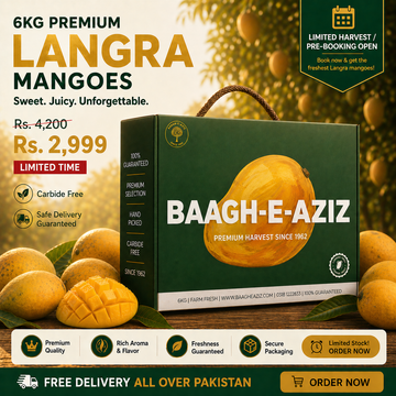 Buy Langra Mangoes Online Pakistan | Fresh Langra Mango | Baagh-e-Aziz