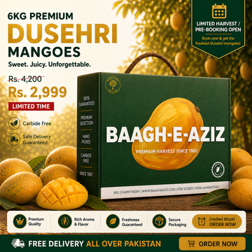 Buy Duseri Mangoes Online Pakistan | Old-School Mango Taste | Baagh-e-Aziz