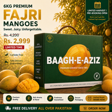 Buy Fajri Mangoes Online Pakistan | Late Season King | Baagh-e-Aziz