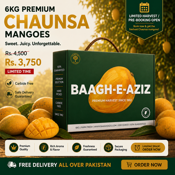 Buy Chaunsa Mangoes Online Pakistan | King of Mangoes | Baagh-e-Aziz