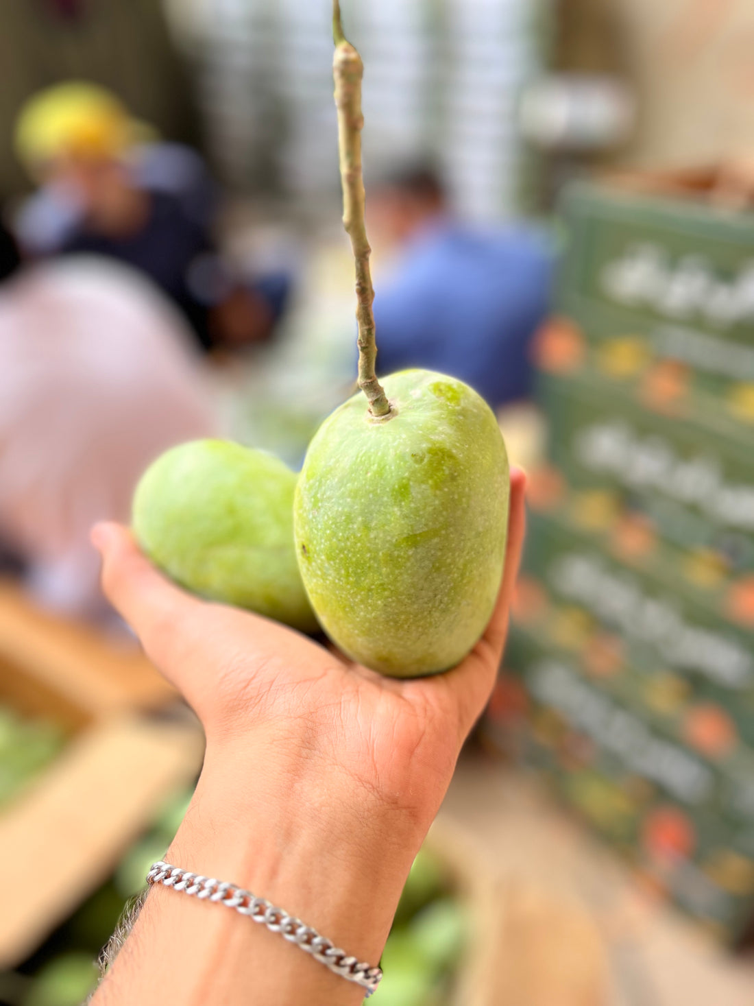 Buy Fresh Mangoes Online Pakistan | Baagh-e-Aziz